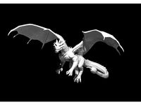 Pseudodragon by mz4250