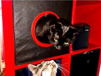 IKEA Cat Box  by DasMia