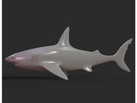 Shark  by zacleung