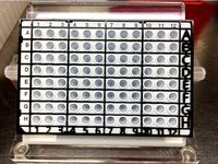 PCR qPCR Plate Loading Guide by lambdahindiii