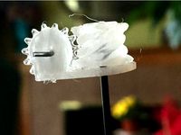 Holder for pauljs75's worm gears by haleyp