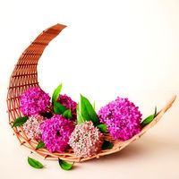 Pink Flowers 3D Model