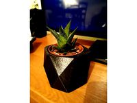 Low Poly Plant Pot by MegaAndy