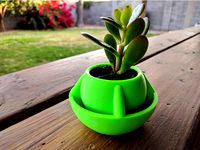 Globe Desk Planter Flower Pot by Qrome