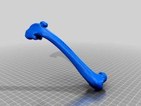 Dog Femur by bfince