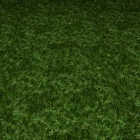 Ground grass tile 7 textur4 3D Model