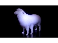 Sheep with Five Legs by DSX76