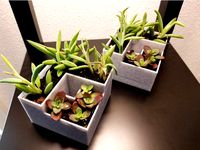 Self Watering Planter by daless14