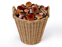 Wicker Basket Ikea Nipprig with Mushrooms 3D Model