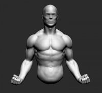 Male Upper Body 3D Model