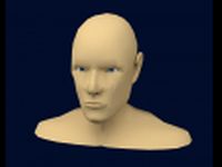 Mens Head Low poly 3D Model