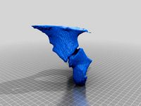 ACETABULUM/fracture by marko37