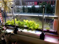 Hydroponic Window Farm v0.1 by Life314