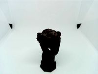 bear ring by RaffoSan