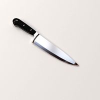 Kitchen Knife 3D Model
