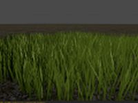 HQ grass 3D Model