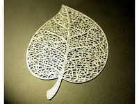 Leaf skeleton by gaellafond