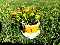 Bottom watering flower pot by 3Dpassion