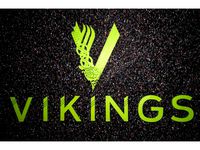 Vikings Logo by v3nca
