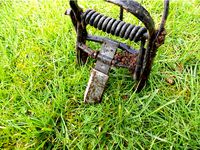 Mole Trap Improvement by Vetterick