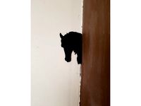 shadow of a horse and a dog by catf