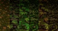 Ground leaf 02 3D Model
