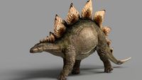 Stegosaurus 3D Model