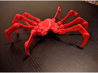 Spider Thing by nikolajbaer