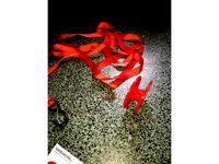 Cargo strap spool by Multi1970