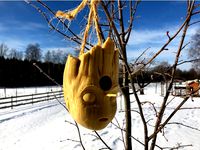 I am Birdhouse by Twesta