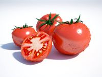 Tomato 3D Model