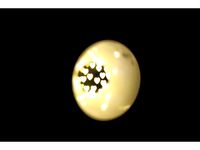 Bokeh flip lens cap - 49mm by tradiuz