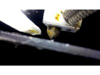 Anet A8 Orginal Fan Duct, [Minimal Energy Loss] by Physics3