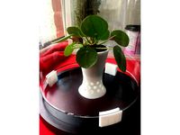 Under the Dome - Planter (Small) by Evan_C