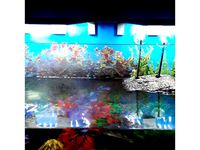 LED AQUARIUM by Misieks
