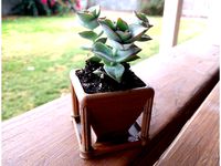 Roman Desk Flower Pot by Qrome