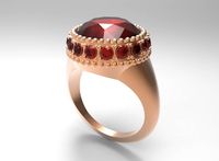 Ring 14 3D Model