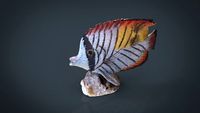 Decorative Fish 3D Model