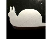 Snail by Matthewkaye