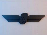 Pilot Wings - Air Berlin by alphaflight83
