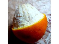 Knife for oranges. v.1 by 7Light