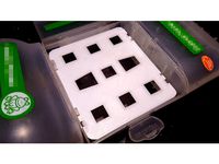 Nude Food Mover lunchbox - sandwich separator by Druzy