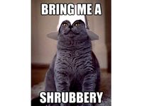 Shrubberies!!!! by FlyingMushroom4