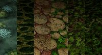Ground leaf 03 3D Model