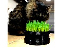 Cat Grass Planter by SSilver