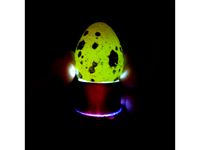 Egg Candler Attachment for Flashlight by curiousgood