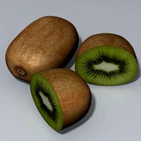 kiwi