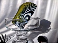 Brains excluded by RH_Vissers