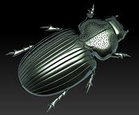 Beatle 3D Model