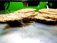 Pancake-free Woolly Mammoth Skeleton by shfqrkhn
